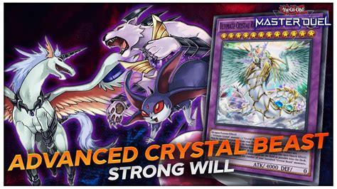 Crystal Beast Advanced Guide! ft. Order of Chaos! [Yu.